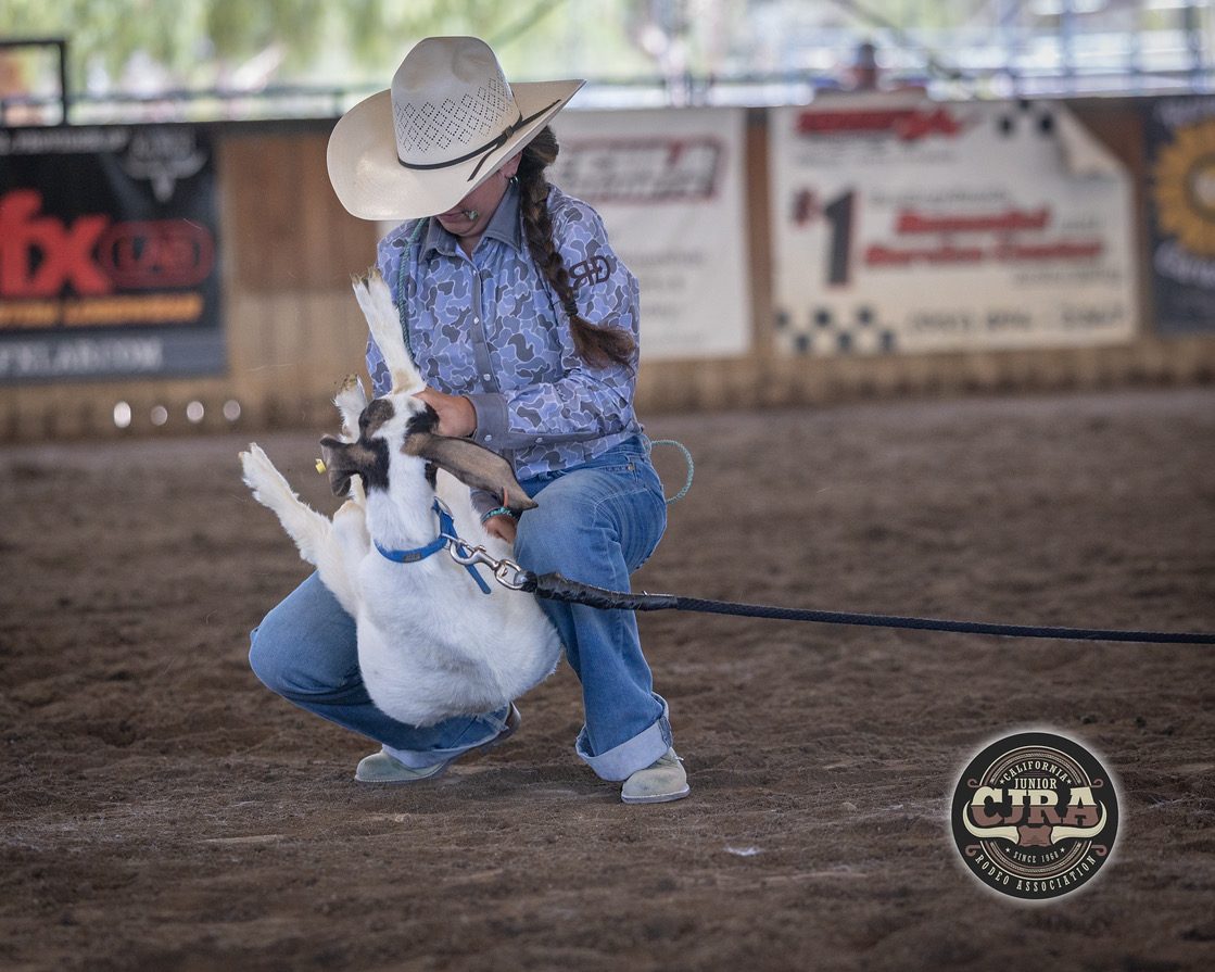 Sami tying a goat at a CJRA goat tying run